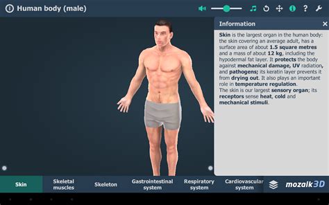 Download <strong>Body Visualizer</strong> for Webware to <strong>visualize</strong> a 3D model of a <strong>male</strong> or female <strong>body</strong>. . Male body visualizer